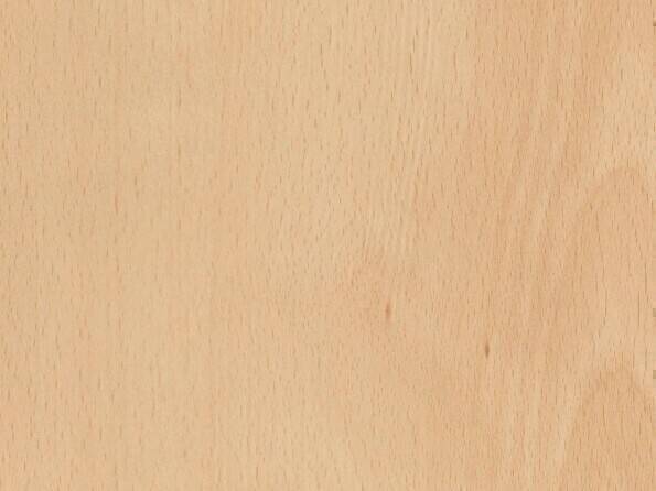 R24035_Buche Blume_Detail.jpg
